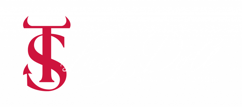 ld logo horizontal rot weiss flat